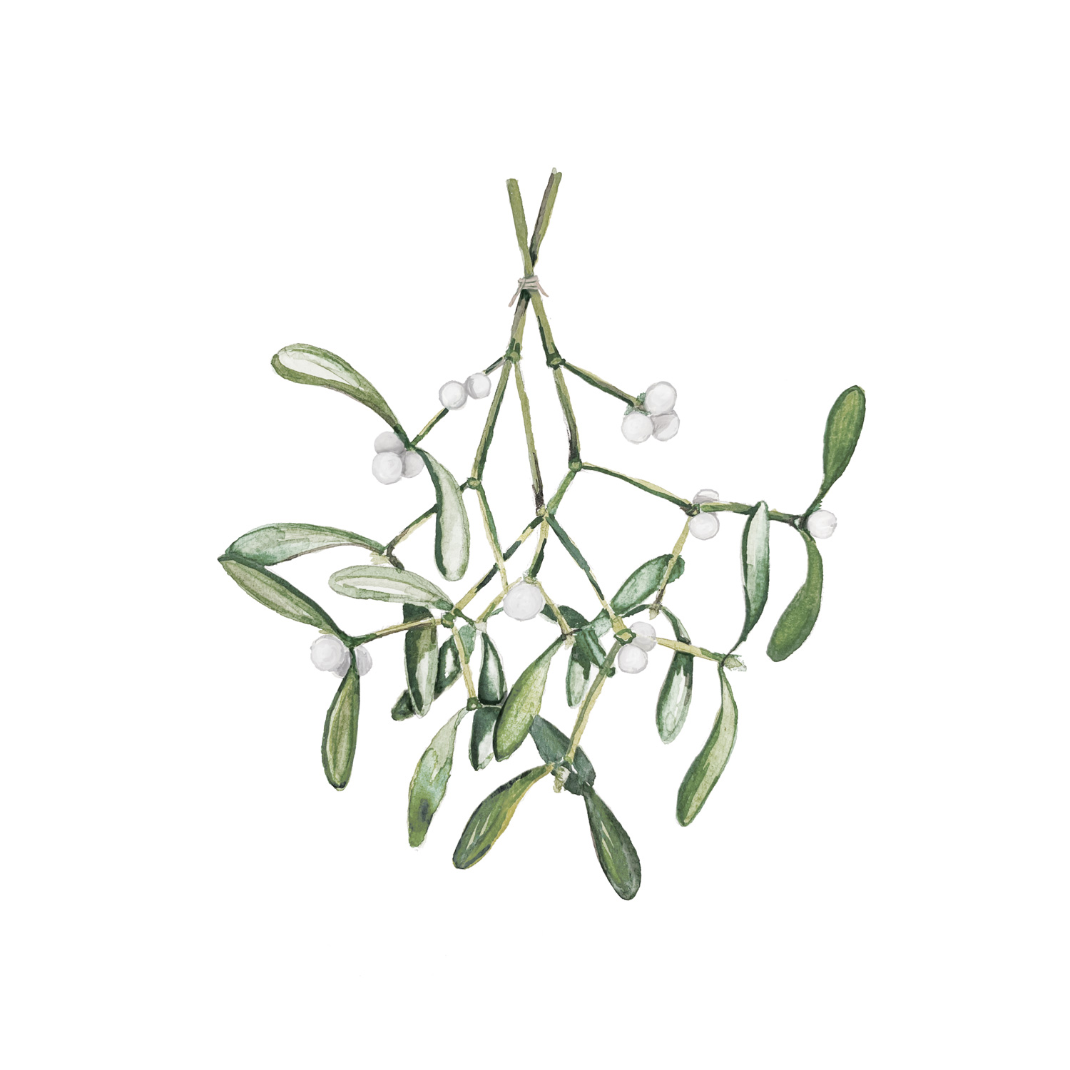 Weihnachtskarte "Mistletoe"