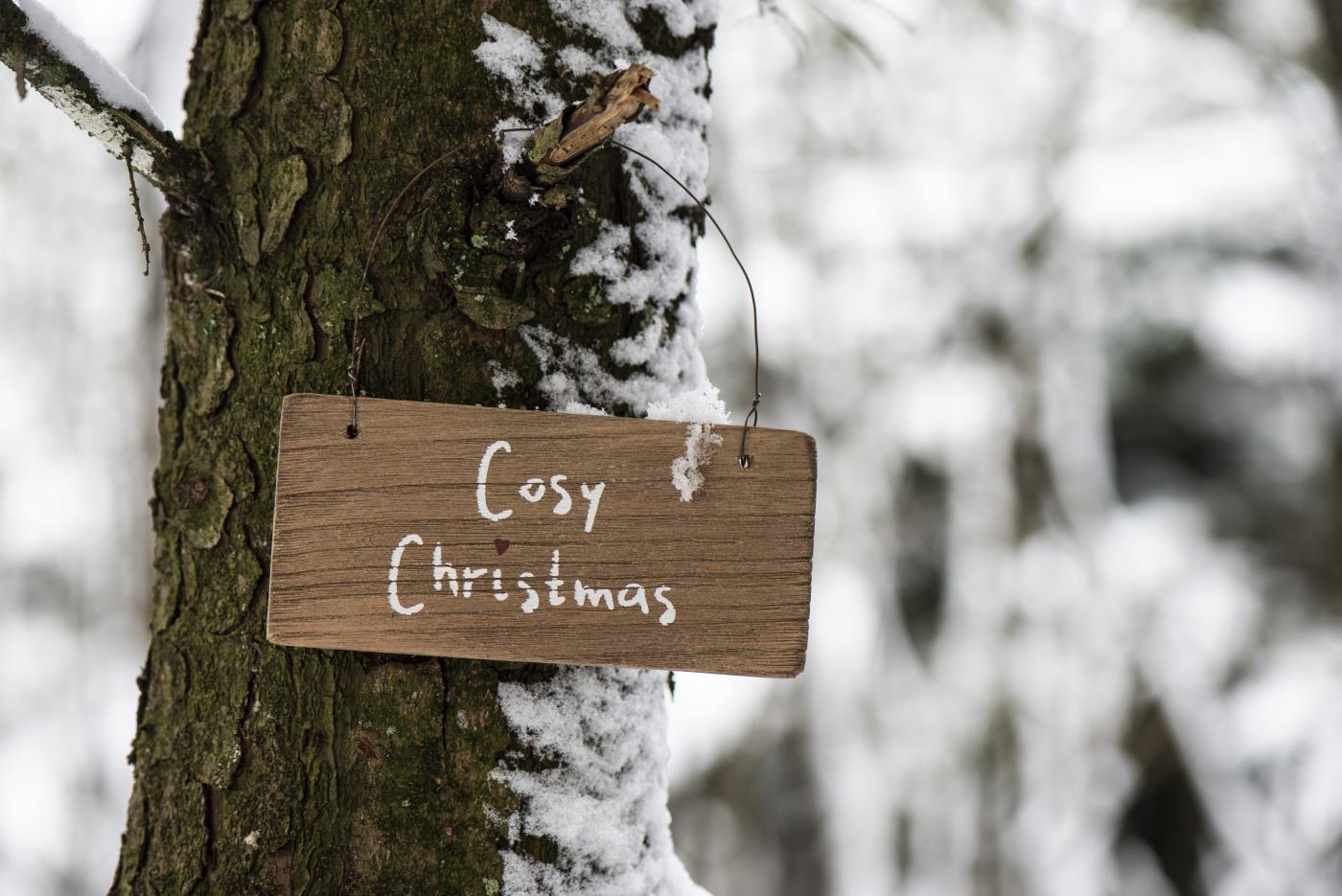 Holzschild "Cozy Christmas" Holzschild "Cozy Christmas"