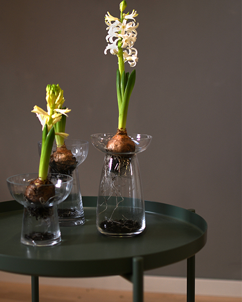 Vase "Ale" Vase "Ale"