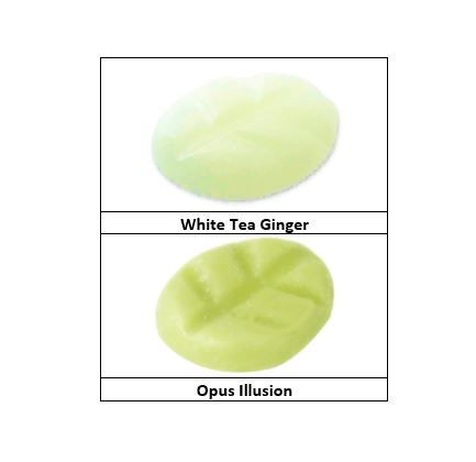 "Opus Illusion & White Tea Ginger"