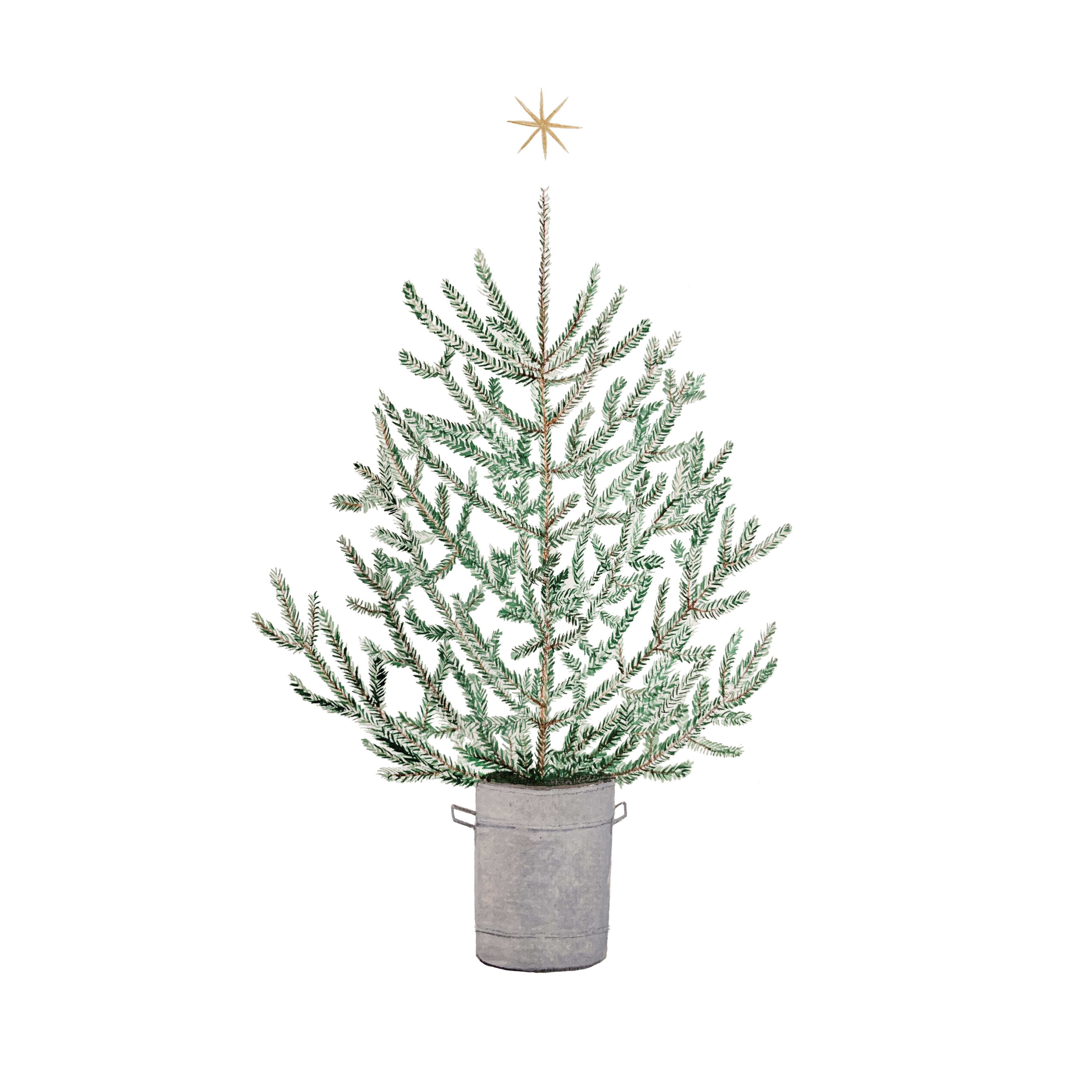 Weihnachtskarte  "Tanne" Weihnachtskarte  "Tanne"