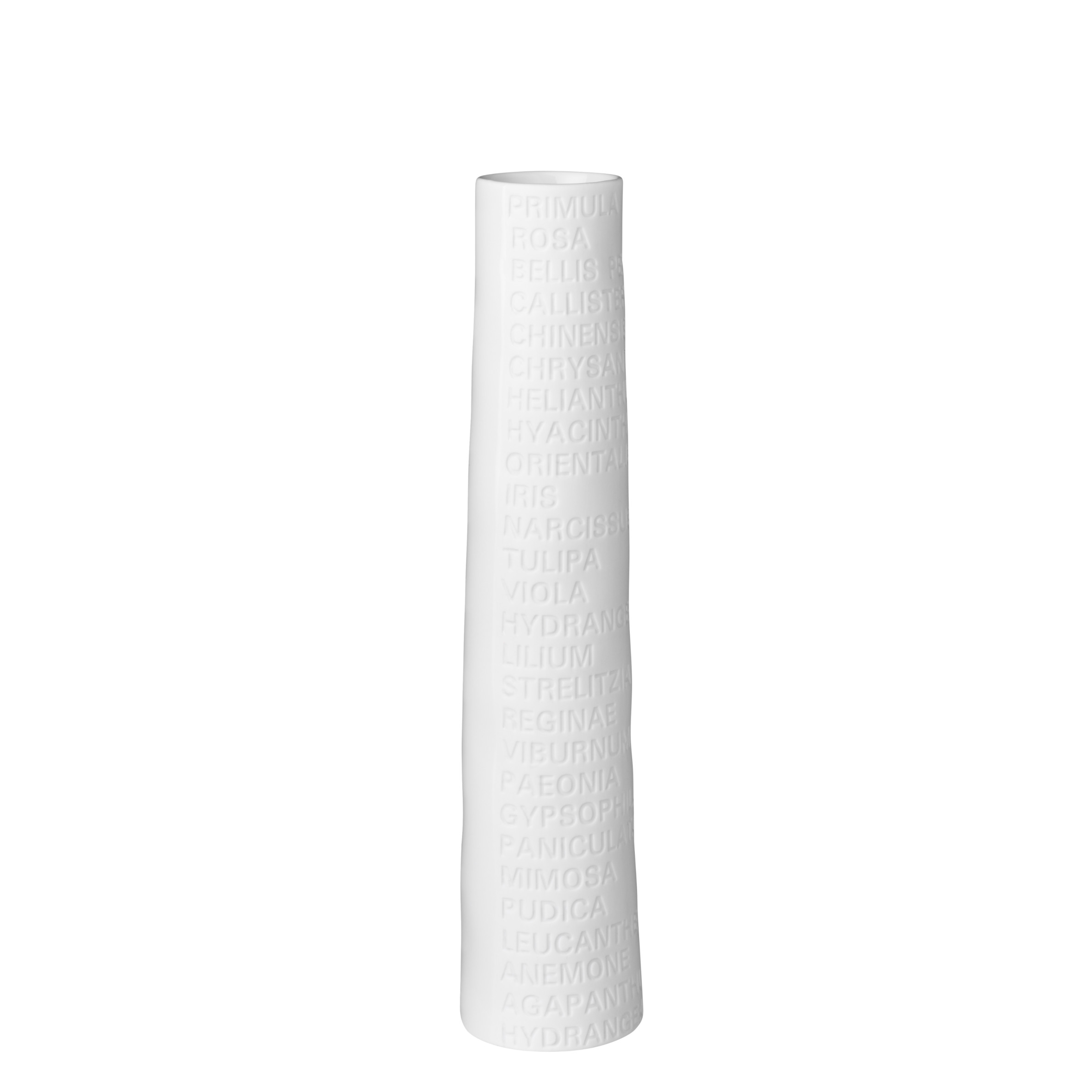 Vase "Raumpoesie" Vase "Raumpoesie"