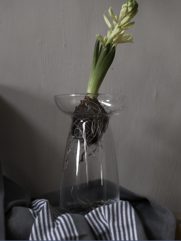 Vase "Ale" Vase "Ale"